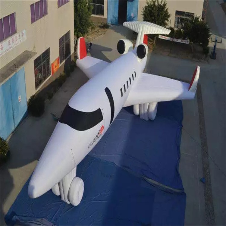 阜阳充气模型飞机